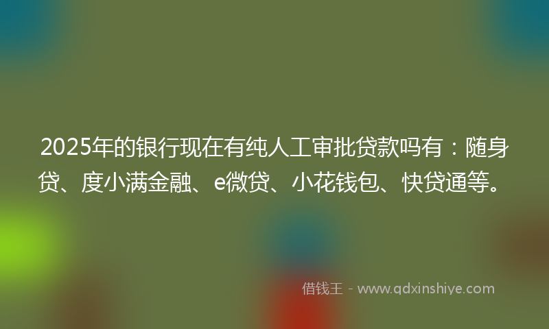 2025年的银行现在有纯人工审批贷款吗有：随身贷、度小满金融、e微贷、小花钱包、快贷通等。