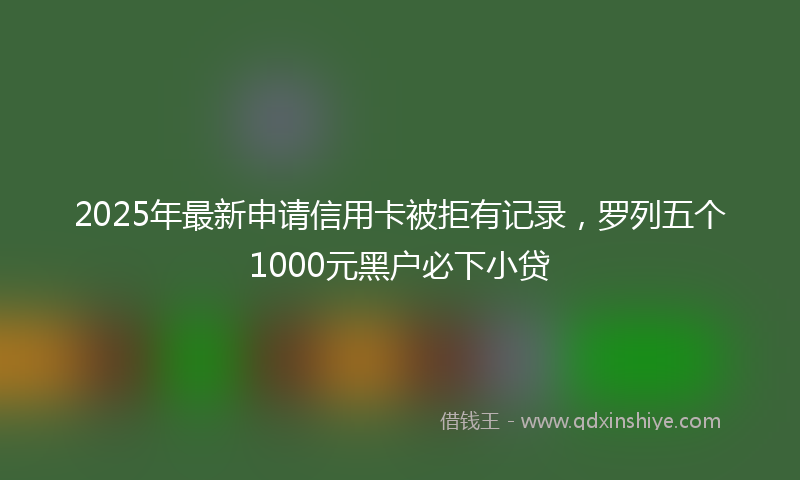 2025年最新申请信用卡被拒有记录，罗列五个1000元黑户必下小贷