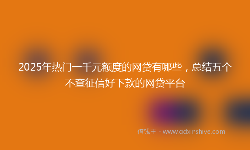 2025年热门一千元额度的网贷有哪些，总结五个不查征信好下款的网贷平台