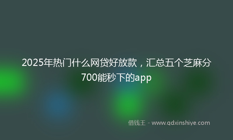 2025年热门什么网贷好放款，汇总五个芝麻分700能秒下的app