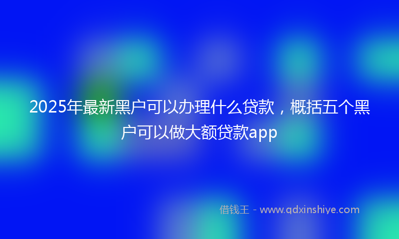 2025年最新黑户可以办理什么贷款，概括五个黑户可以做大额贷款app
