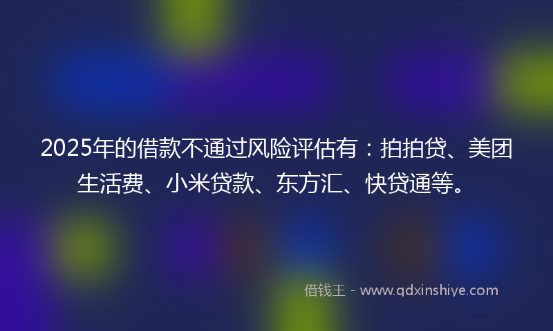 2025年的借款不通过风险评估有：拍拍贷、美团生活费、小米贷款、东方汇、快贷通等。