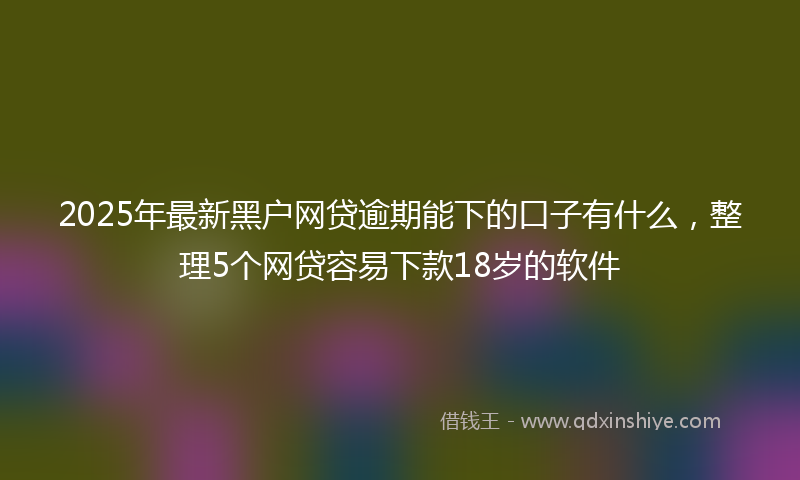 2025年最新黑户网贷逾期能下的口子有什么，整理5个网贷容易下款18岁的软件