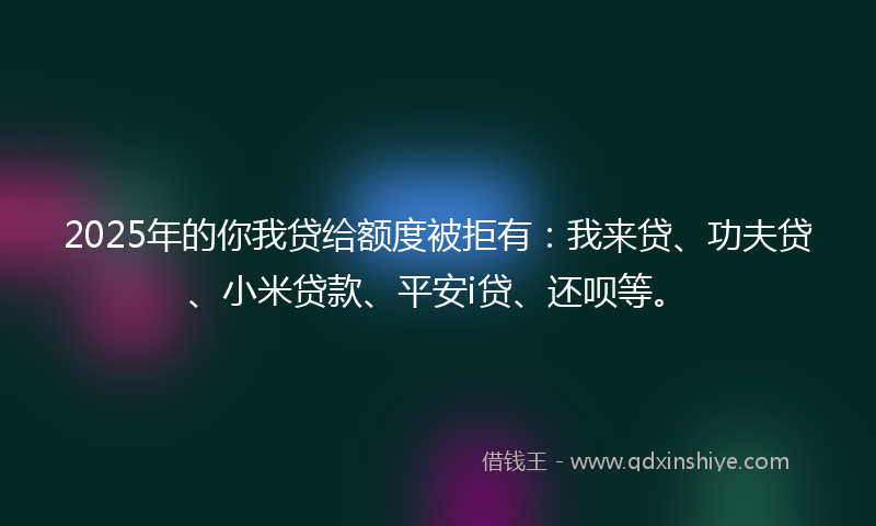 2025年的你我贷给额度被拒有：我来贷、功夫贷、小米贷款、平安i贷、还呗等。