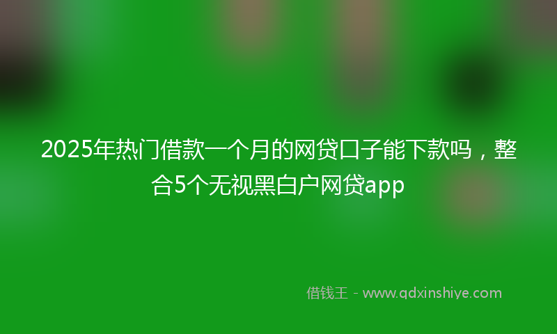 2025年热门借款一个月的网贷口子能下款吗，整合5个无视黑白户网贷app