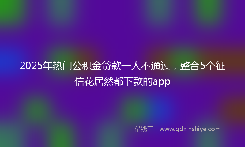 2025年热门公积金贷款一人不通过，整合5个征信花居然都下款的app