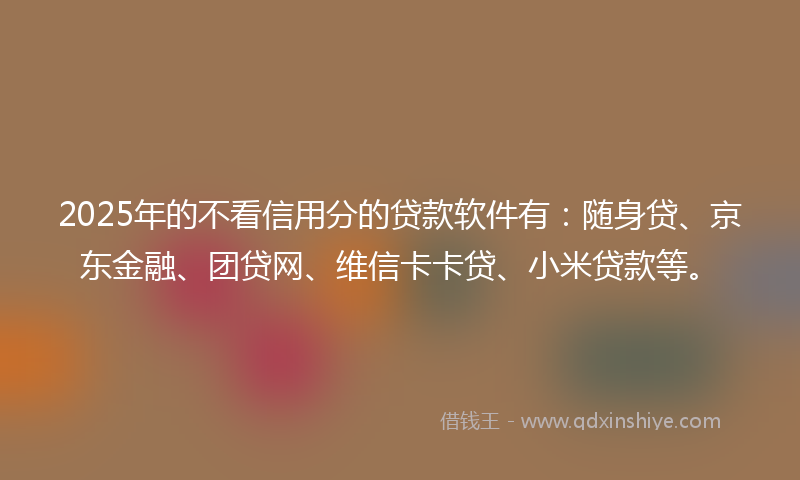 2025年的不看信用分的贷款软件有：随身贷、京东金融、团贷网、维信卡卡贷、小米贷款等。