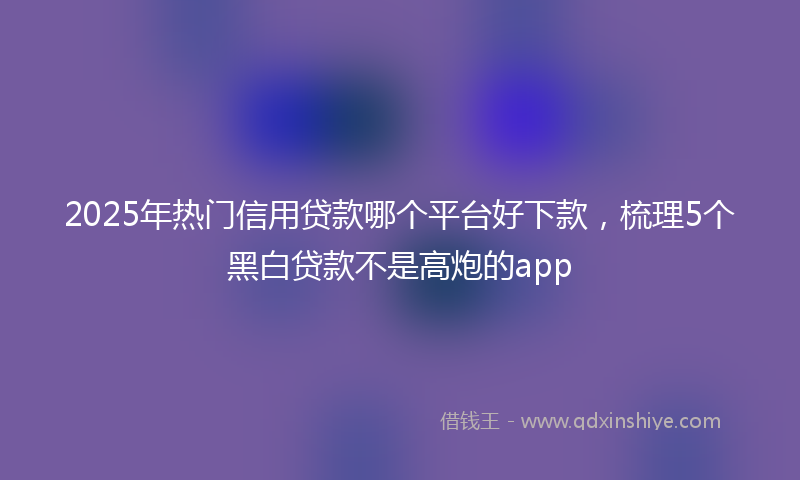 2025年热门信用贷款哪个平台好下款，梳理5个黑白贷款不是高炮的app