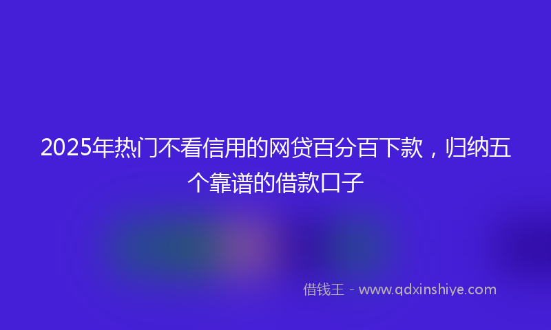 2025年热门不看信用的网贷百分百下款，归纳五个靠谱的借款口子