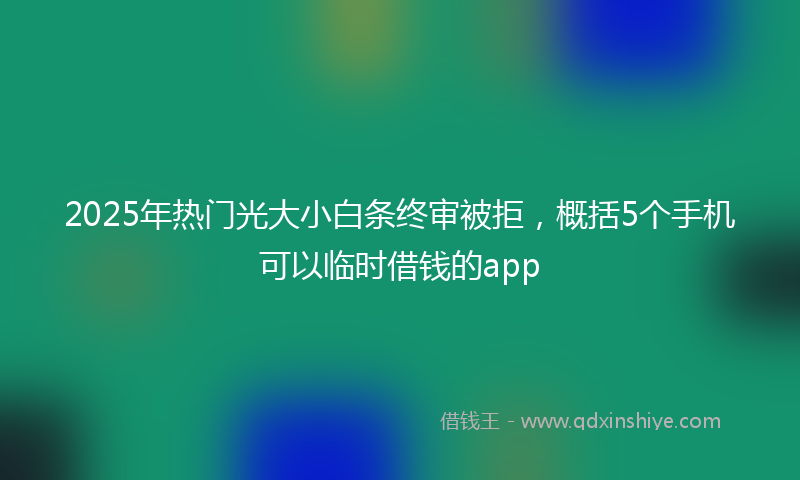 2025年热门光大小白条终审被拒，概括5个手机可以临时借钱的app