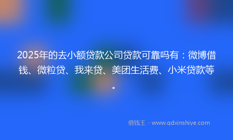 2025年的去小额贷款公司贷款可靠吗有：微博借钱、微粒贷、我来贷、美团生活费、小米贷款等。