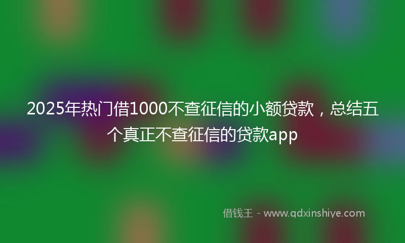 2025年热门借1000不查征信的小额贷款，总结五个真正不查征信的贷款app