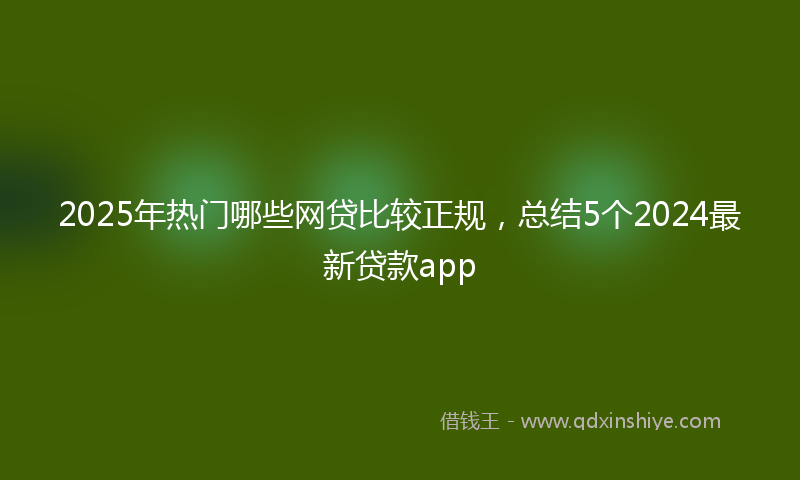 2025年热门哪些网贷比较正规，总结5个2024最新贷款app