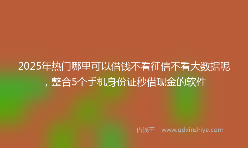 2025年热门哪里可以借钱不看征信不看大数据呢，整合5个手机身份证秒借现金的软件