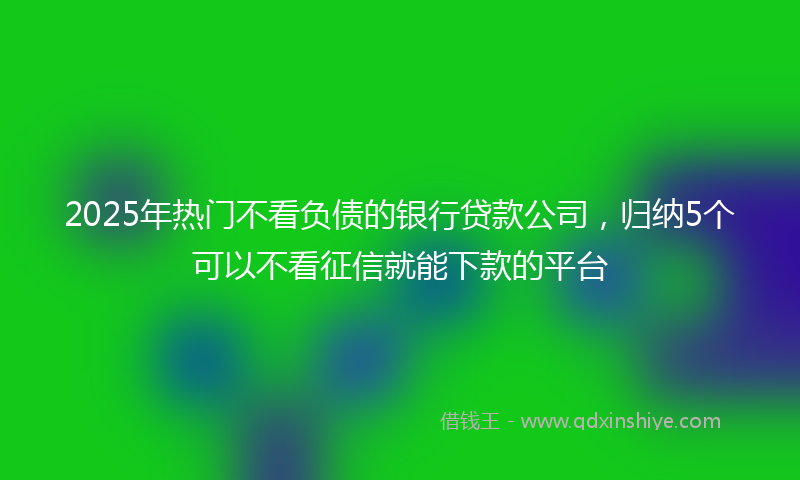 2025年热门不看负债的银行贷款公司，归纳5个可以不看征信就能下款的平台