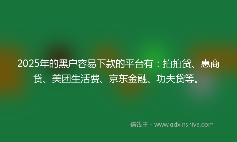 2025年的黑户容易下款的平台有：拍拍贷、惠商贷、美团生活费、京东金融、功夫贷等。