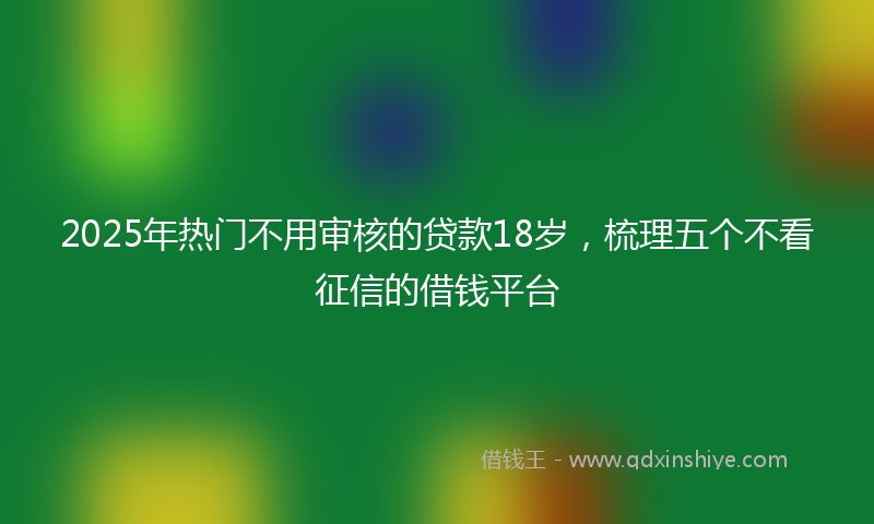 2025年热门不用审核的贷款18岁，梳理五个不看征信的借钱平台