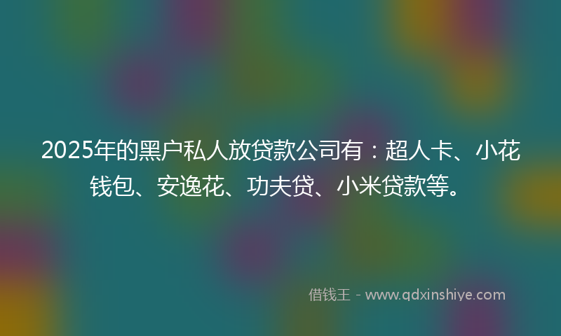 2025年的黑户私人放贷款公司有：超人卡、小花钱包、安逸花、功夫贷、小米贷款等。