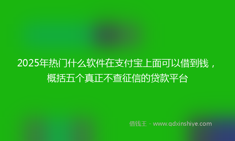 2025年热门什么软件在支付宝上面可以借到钱，概括五个真正不查征信的贷款平台
