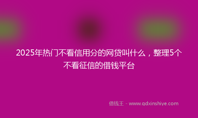 2025年热门不看信用分的网贷叫什么，整理5个不看征信的借钱平台