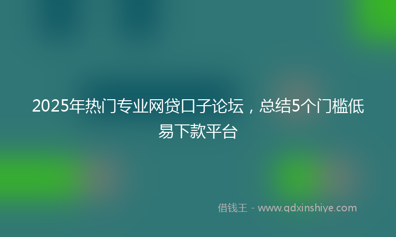 2025年热门专业网贷口子论坛，总结5个门槛低易下款平台