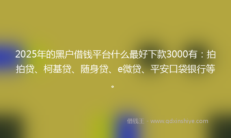 2025年的黑户借钱平台什么最好下款3000有：拍拍贷、柯基贷、随身贷、e微贷、平安口袋银行等。
