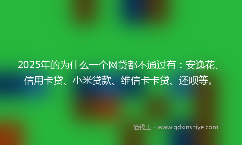 2025年的为什么一个网贷都不通过有：安逸花、信用卡贷、小米贷款、维信卡卡贷、还呗等。