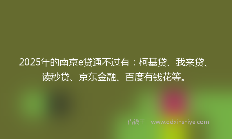 2025年的南京e贷通不过有：柯基贷、我来贷、读秒贷、京东金融、百度有钱花等。