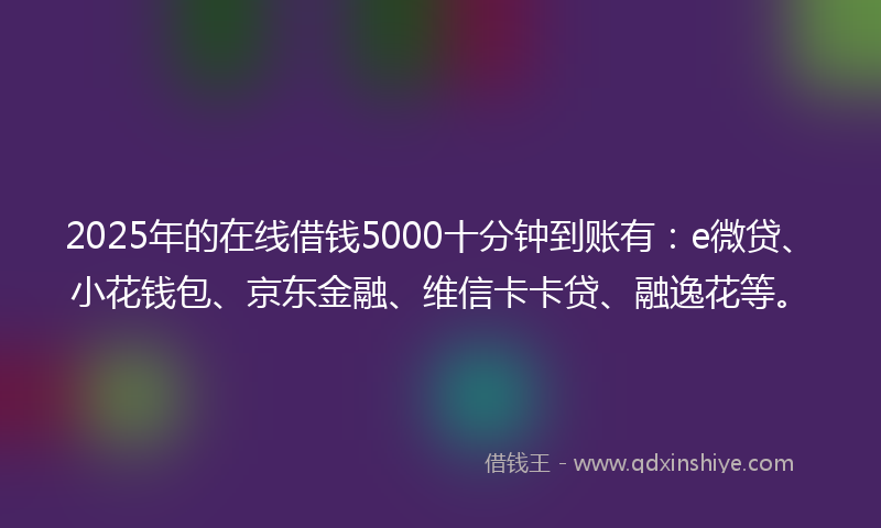 2025年的在线借钱5000十分钟到账有：e微贷、小花钱包、京东金融、维信卡卡贷、融逸花等。