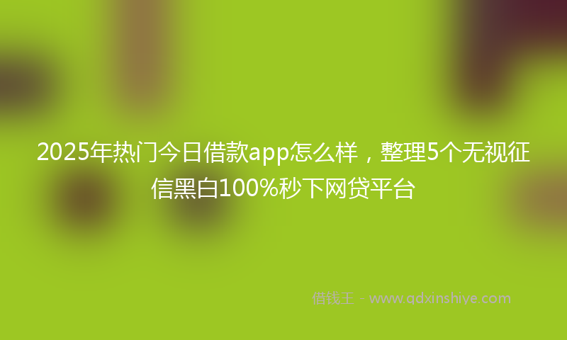 2025年热门今日借款app怎么样，整理5个无视征信黑白100%秒下网贷平台