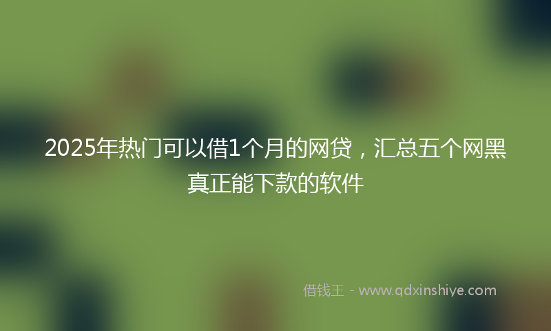 2025年热门可以借1个月的网贷，汇总五个网黑真正能下款的软件
