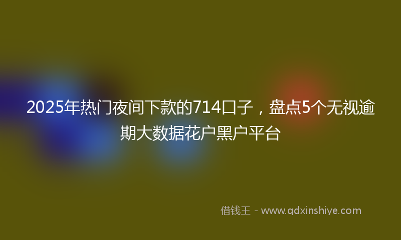 2025年热门夜间下款的714口子，盘点5个无视逾期大数据花户黑户平台