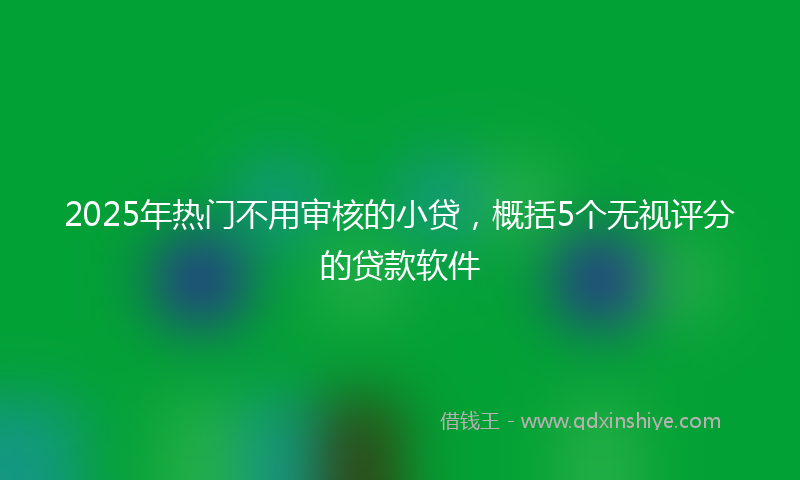 2025年热门不用审核的小贷，概括5个无视评分的贷款软件