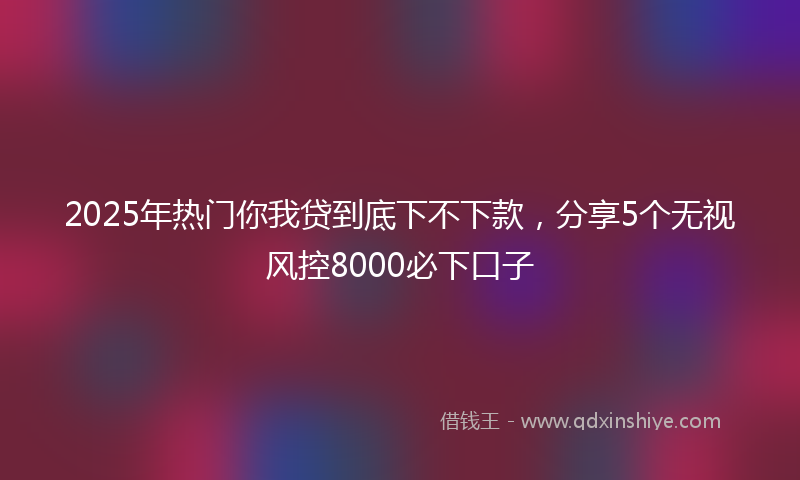2025年热门你我贷到底下不下款，分享5个无视风控8000必下口子