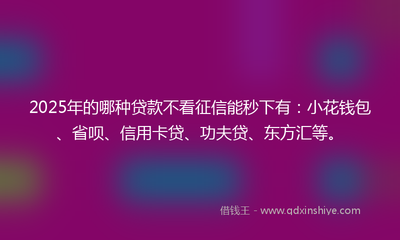 2025年的哪种贷款不看征信能秒下有：小花钱包、省呗、信用卡贷、功夫贷、东方汇等。