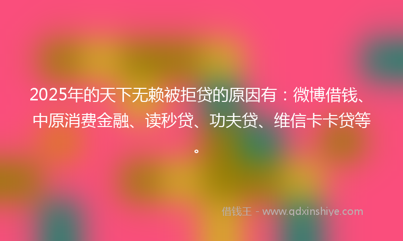 2025年的天下无赖被拒贷的原因有：微博借钱、中原消费金融、读秒贷、功夫贷、维信卡卡贷等。