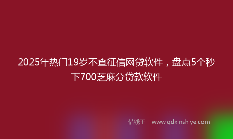 2025年热门19岁不查征信网贷软件，盘点5个秒下700芝麻分贷款软件