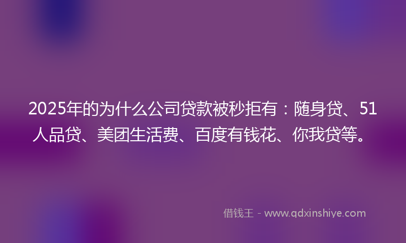 2025年的为什么公司贷款被秒拒有：随身贷、51人品贷、美团生活费、百度有钱花、你我贷等。