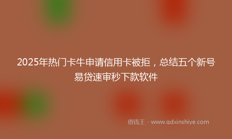 2025年热门卡牛申请信用卡被拒，总结五个新号易贷速审秒下款软件