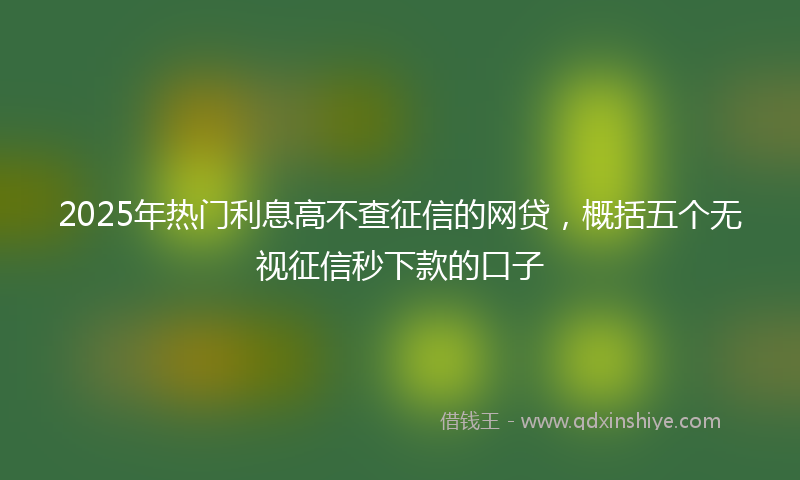 2025年热门利息高不查征信的网贷，概括五个无视征信秒下款的口子