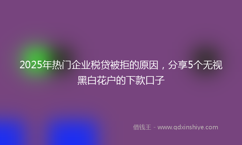 2025年热门企业税贷被拒的原因，分享5个无视黑白花户的下款口子