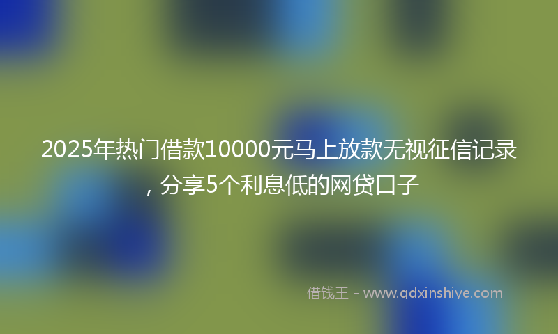 2025年热门借款10000元马上放款无视征信记录，分享5个利息低的网贷口子