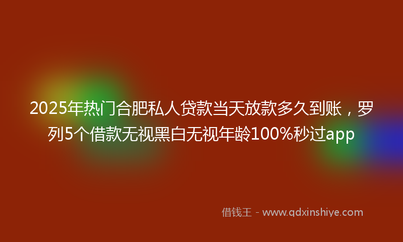 2025年热门合肥私人贷款当天放款多久到账，罗列5个借款无视黑白无视年龄100%秒过app