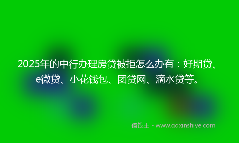 2025年的中行办理房贷被拒怎么办有：好期贷、e微贷、小花钱包、团贷网、滴水贷等。