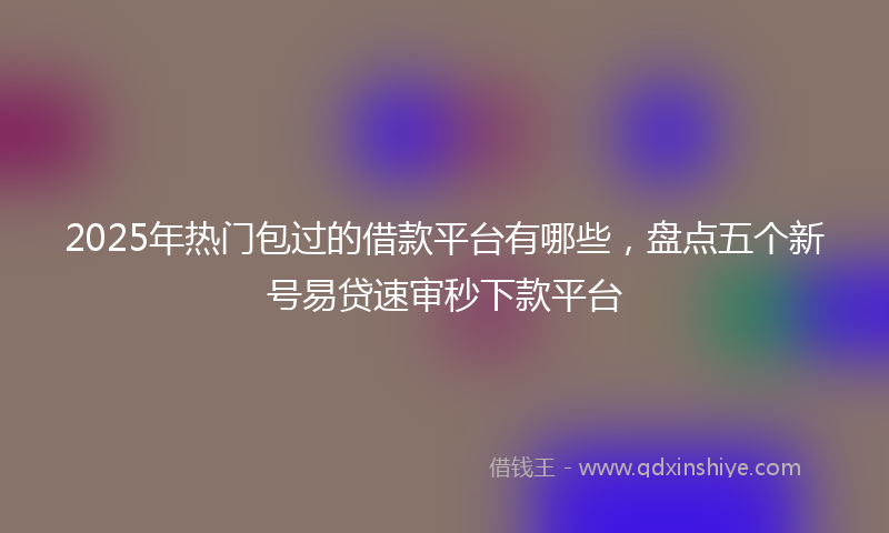 2025年热门包过的借款平台有哪些，盘点五个新号易贷速审秒下款平台