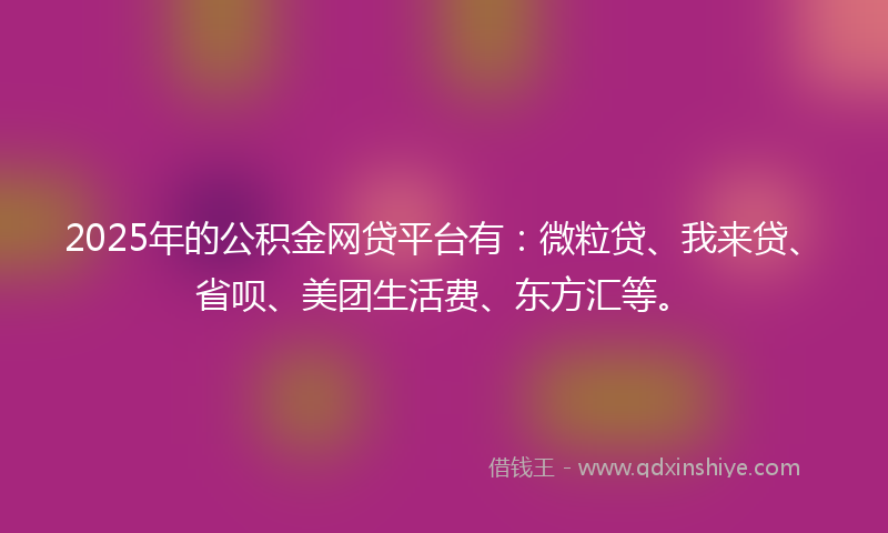 2025年的公积金网贷平台有：微粒贷、我来贷、省呗、美团生活费、东方汇等。