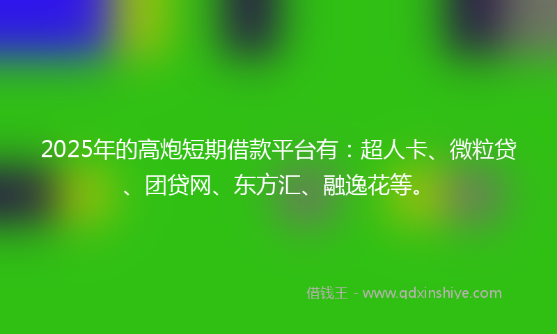 2025年的高炮短期借款平台有：超人卡、微粒贷、团贷网、东方汇、融逸花等。