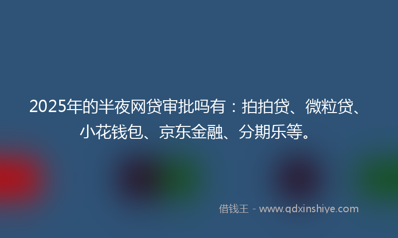2025年的半夜网贷审批吗有：拍拍贷、微粒贷、小花钱包、京东金融、分期乐等。