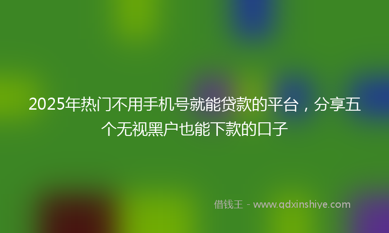 2025年热门不用手机号就能贷款的平台，分享五个无视黑户也能下款的口子
