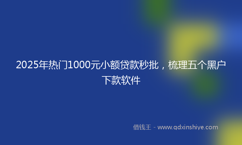 2025年热门1000元小额贷款秒批，梳理五个黑户下款软件